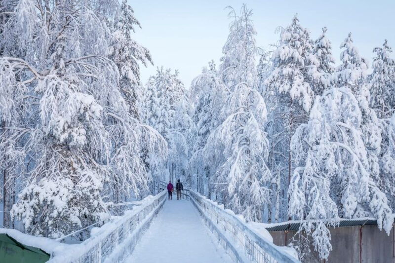rovaniemi-ranua-zoo-wildlife-park-tour-with-hotel-pickup