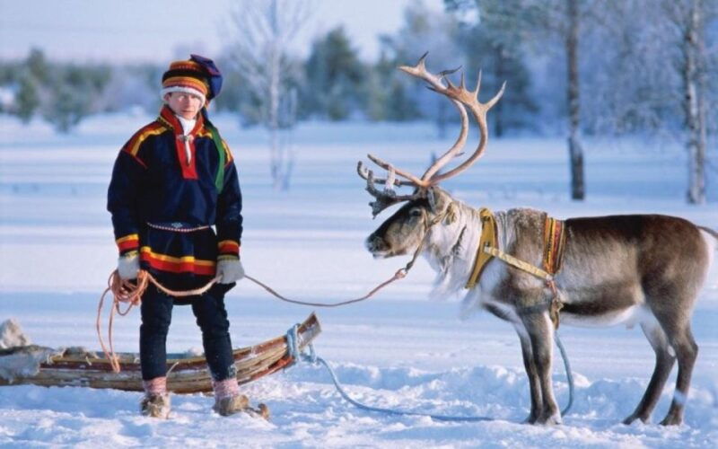 rovaniemi-reindeer-farm-tour-with-sledge-ride-pickup