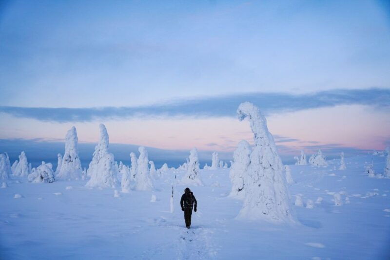 rovaniemi-riisitunturi-national-park-day-trip-with-lunch