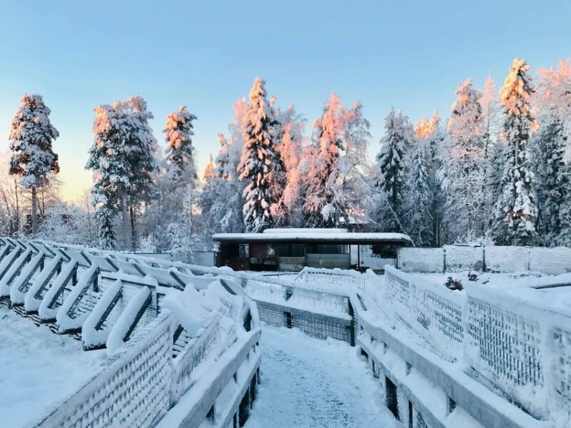 rovaniemi-trip-to-ranua-zoo