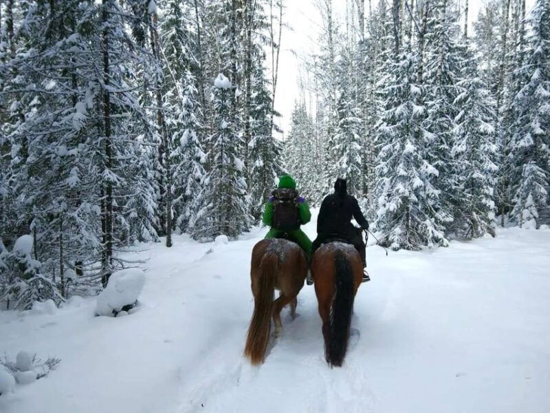 rovaniemi-winter-horse-riding-in-arctic-nature
