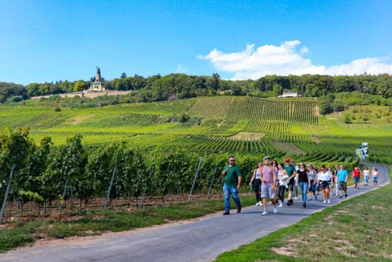 rudesheim-guided-wine-hikes-with-4wines-and-cable-car-ride