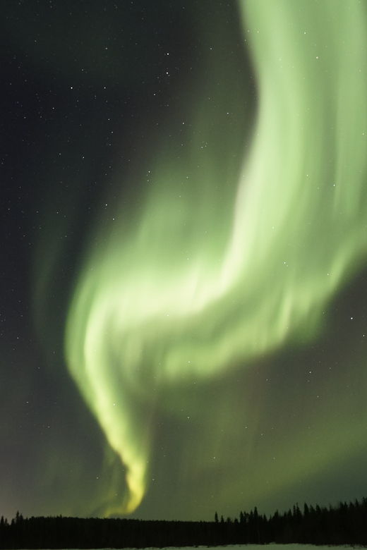 saariselka-aurora-photo-tour-by-car-with-transfer-drinks