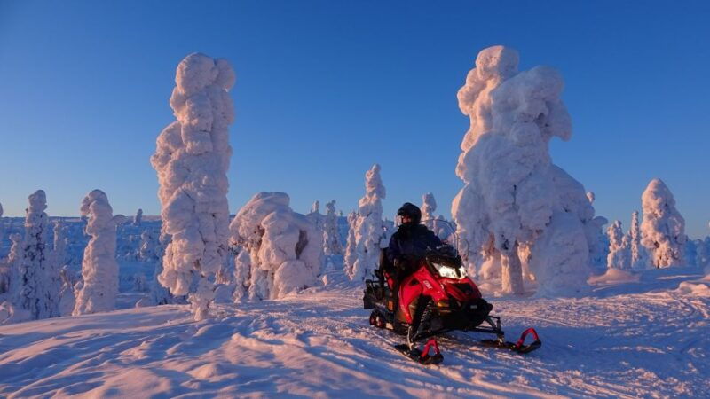 saariselka-evening-snowmobile-tour-with-fire-picnic