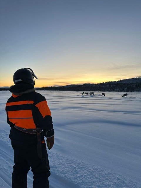 saariselka-ice-fishing-tour-to-lake-inari-reindeers-lunch