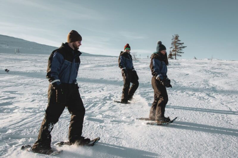 saariselka-scenic-snowshoe-safari