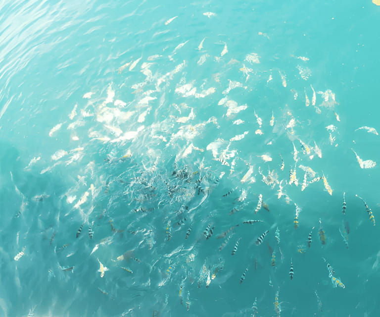 sabah-manukan-and-sapi-islands-excursion-ticket