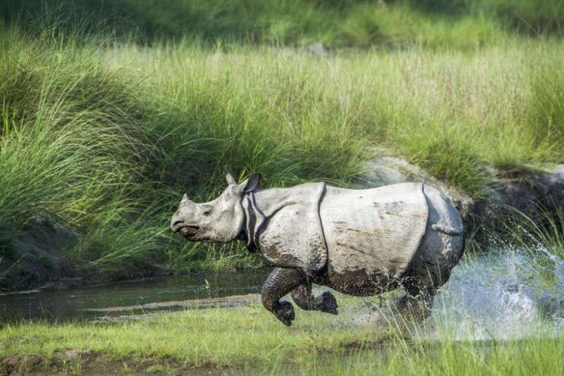 safari-adventure-in-bardia-3d-2n