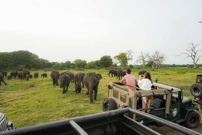 Safari Adventure in Hurulu Eco Park Sri Lanka - Why This Safari Stands Out