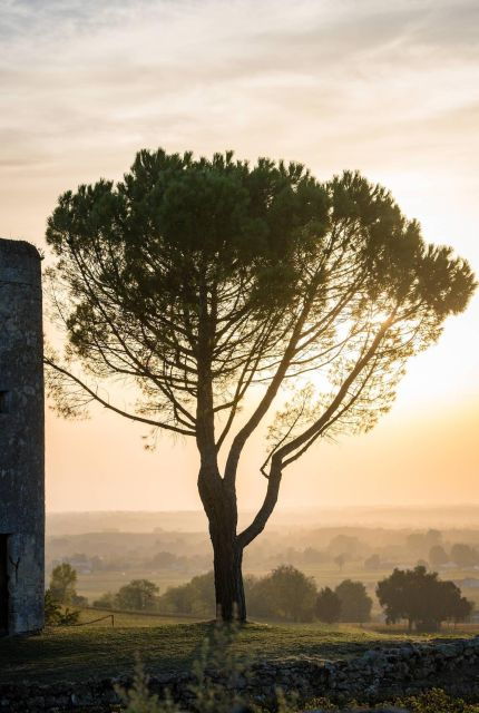 saint-emilion-half-day-ebike-and-wine-tour-with-picnic