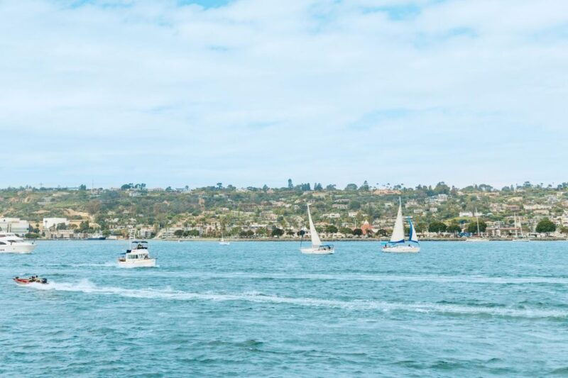 san-diego-whale-and-dolphin-watching-cruise