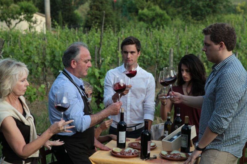san-gimignano-vineyard-walk-with-wine-tasting-in-winery