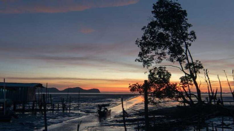 sandakan-fireflies-and-mangrove-cruise-with-dinner