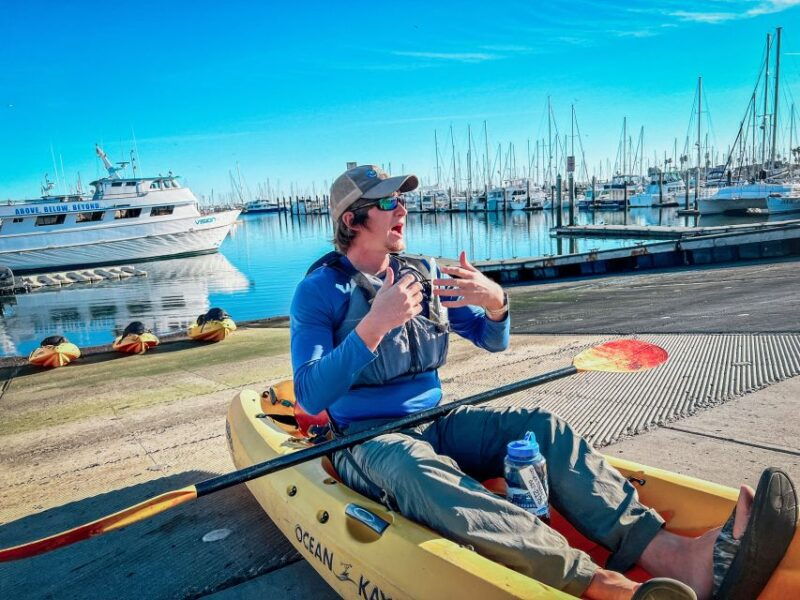 santa-barbara-harbor-wildlife-kayak-tour-2-hours