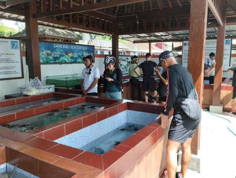 sanur-village-e-bike-tour-family-friendly-adventure