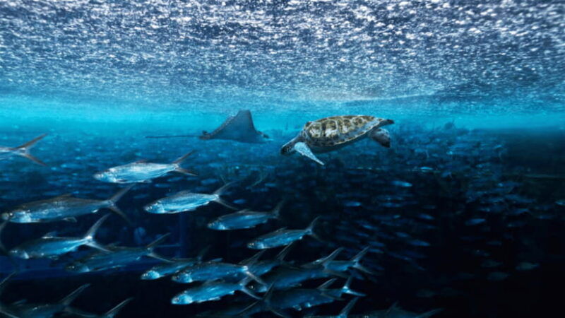 sanya-atlantis-lost-chambers-aquarium