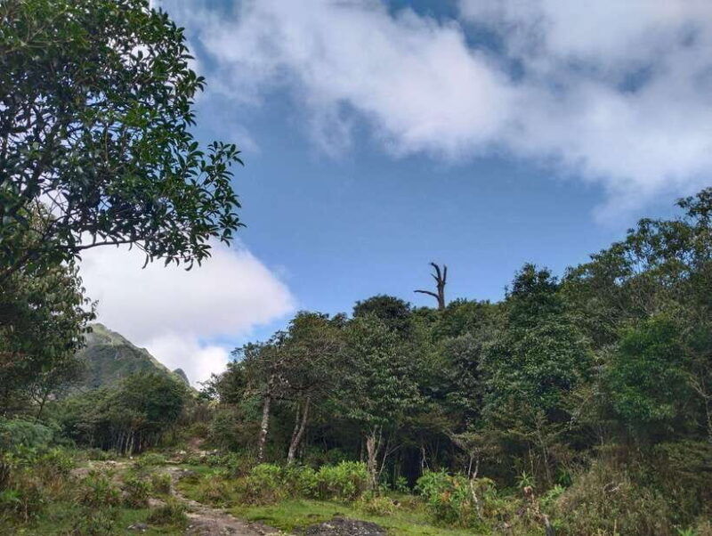 sapa-climb-up-to-fansipan-mountain-with-local-guide