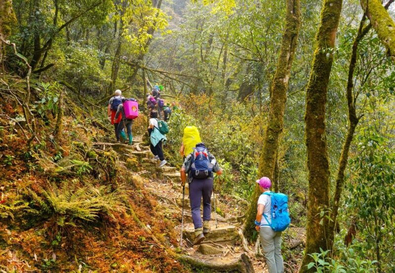sapa-epic-2-day-trek-to-fansipan-mountain-peak