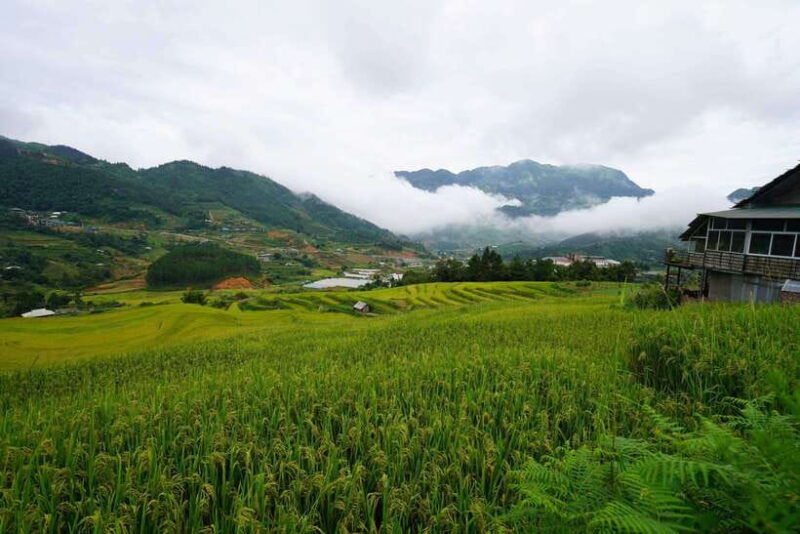 sapa-full-day-hike-to-ta-phin-cat-cat-village-with-lunch
