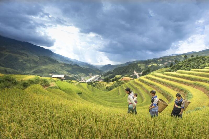 sapa-package-tour-2-days-1-night-with-trekking