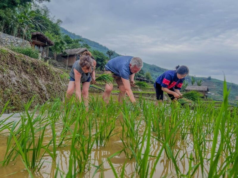 sapa-trekking-homestay-3d2n