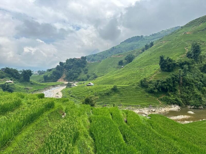 sapa-trekking-rice-fields-local-villages-bamboo-forest