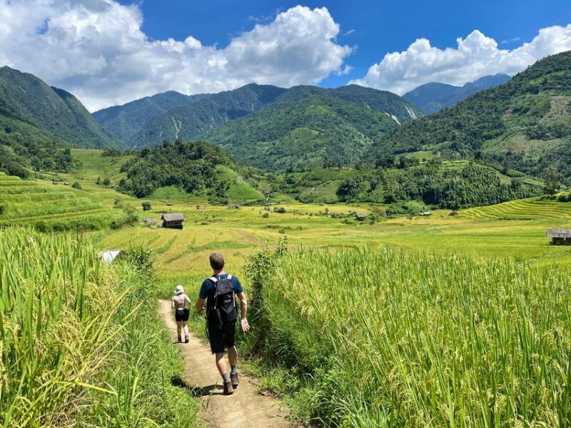 sapa-trekking-through-terraced-rice-fields-valley-1-day