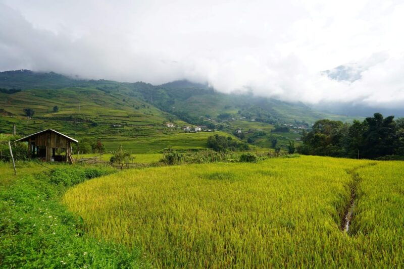 sapa-trip-to-y-linh-ho-lao-chai-ta-van-cat-cat-village