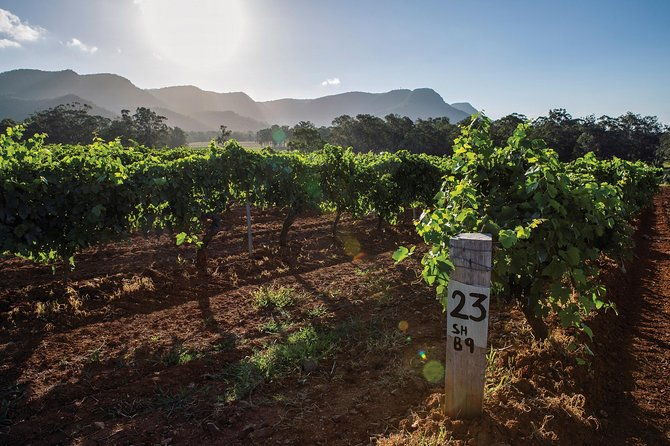 Scenic Hunter Valley Tour with Wine and Cheese Tastings - The Verdict: Who Will Love This?
