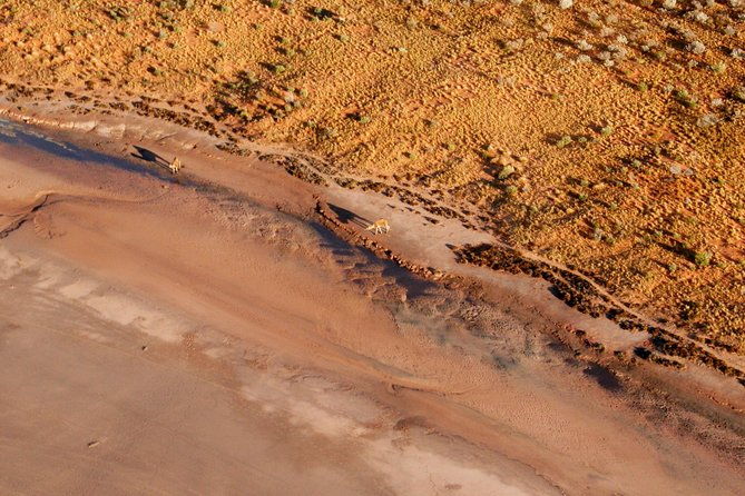 Scenic Plane Flight: Lizard Safari - FAQ