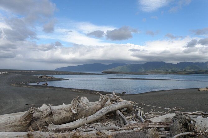Scenic South Wairarapa Full Day Tour from Wellington - FAQ