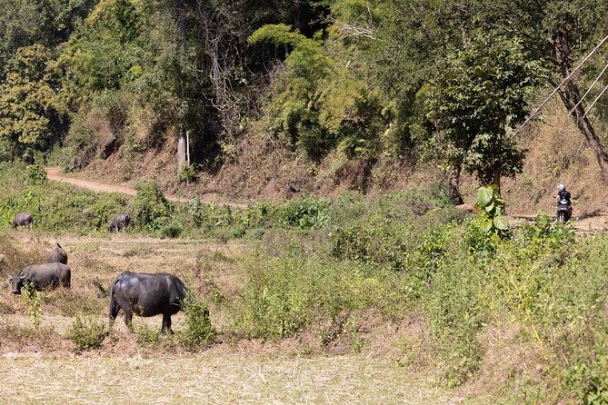 Scooter Adventure with elephants, views and FUN drive yourself - Final Thoughts