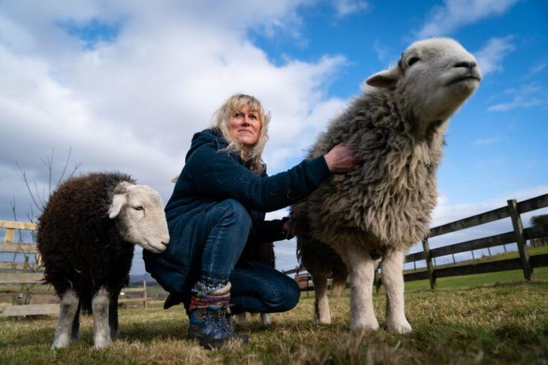 scotland-tea-retreat-with-naughty-sheep
