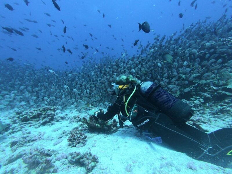 scuba-diving-in-trincomalee