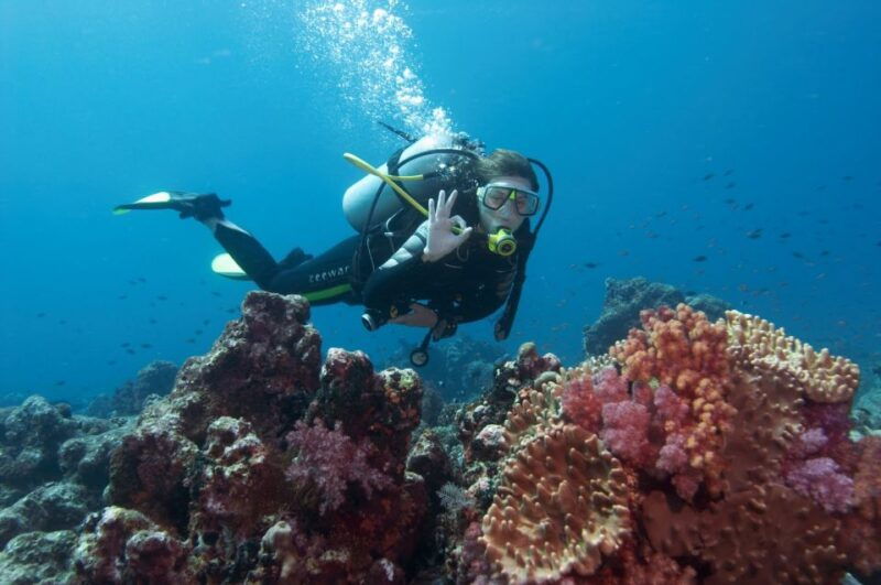 scuba-diving-tour-from-marmaris-and-icmeler