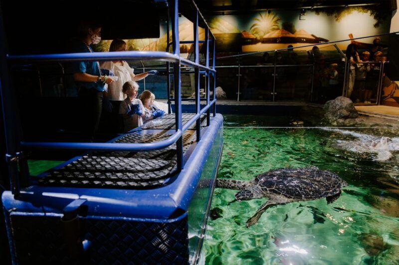 sea-life-brighton-admission-ticket-2