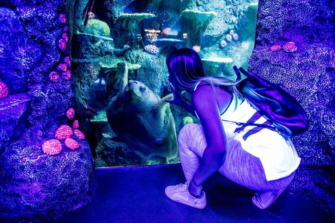 SEA LIFE Sydney Aquarium Entrance Ticket - Visitor Experience & Practical Tips