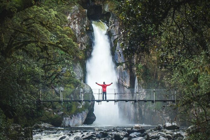 Self-Guided Milford Track Day Walk - Milford Sound - Deep Dive Into the Logistics