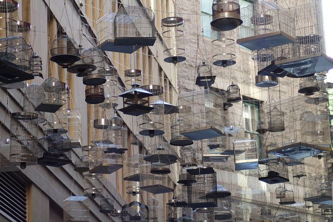 Self-Guided Sydney Scavenger Hunt: Inside Sydney - What to Expect on Your Adventure