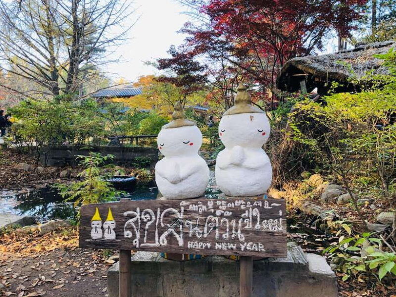 seoul-alpaca-nami-garden-of-morning-calm-tour-rail-bike