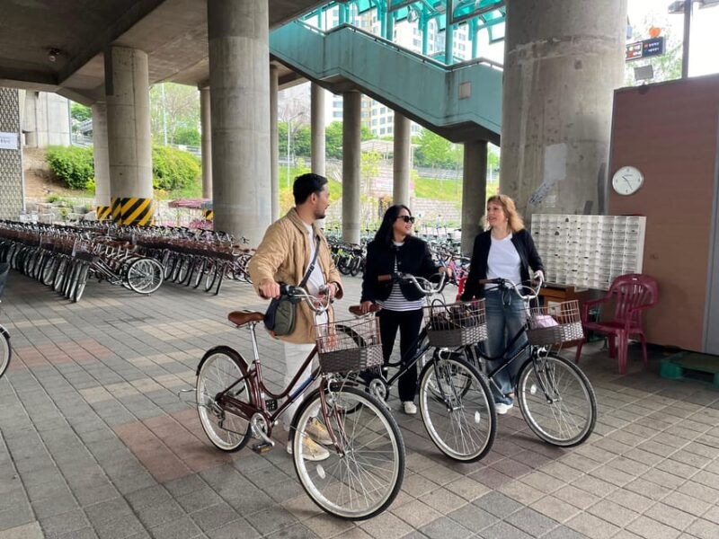 seoul-han-river-urban-nature-bike-tour