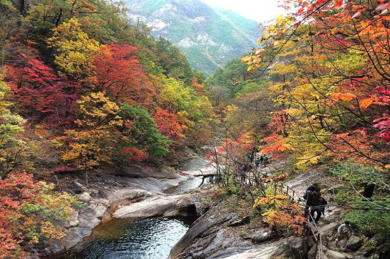 seoul-mt-seorakcable-carsokcho-beachmarketobservatory