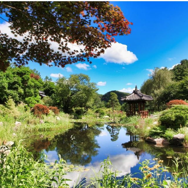 seoul-nami-and-petite-france-tour-with-optional-k-garden