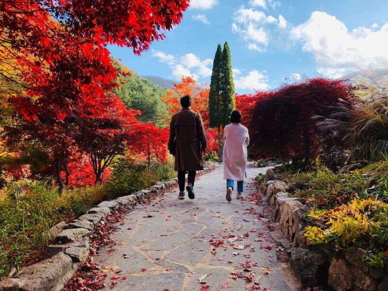 seoul-nami-island-garden-of-morning-calm-tour-rail-bike