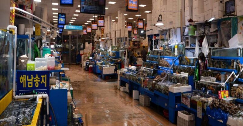 seoul-noryangjin-fish-market-guided-tour-and-food-tasting