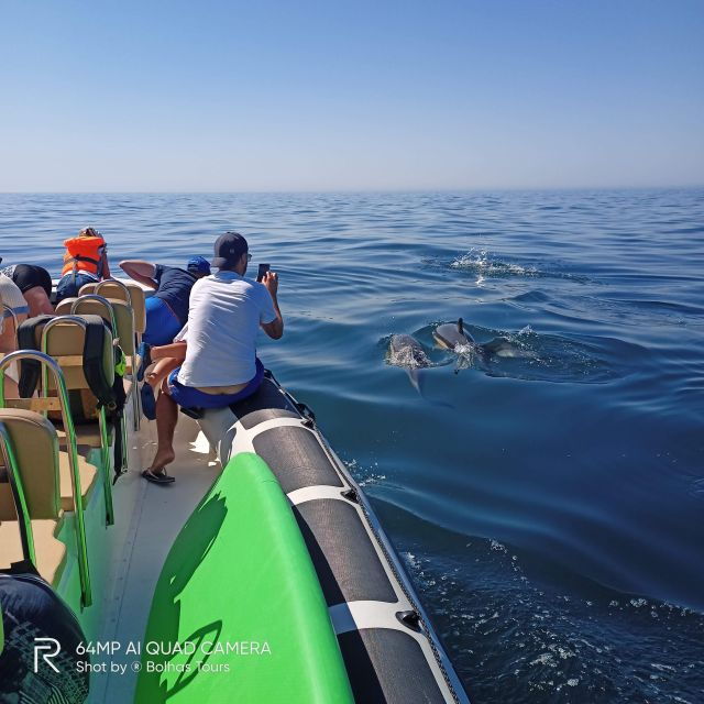 sesimbra-dolphin-watching-boat-tour-with-biologist-guide