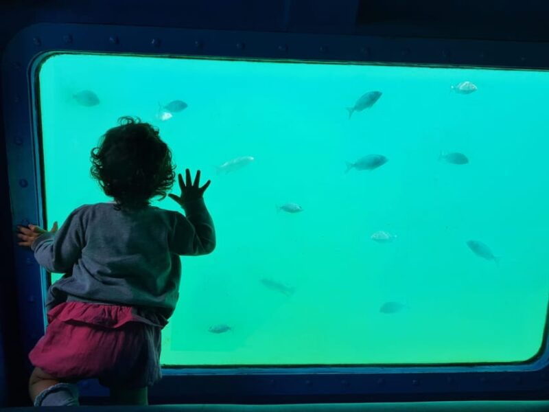 sesimbra-family-friendly-boat-sea-tour-w-submarine-vision