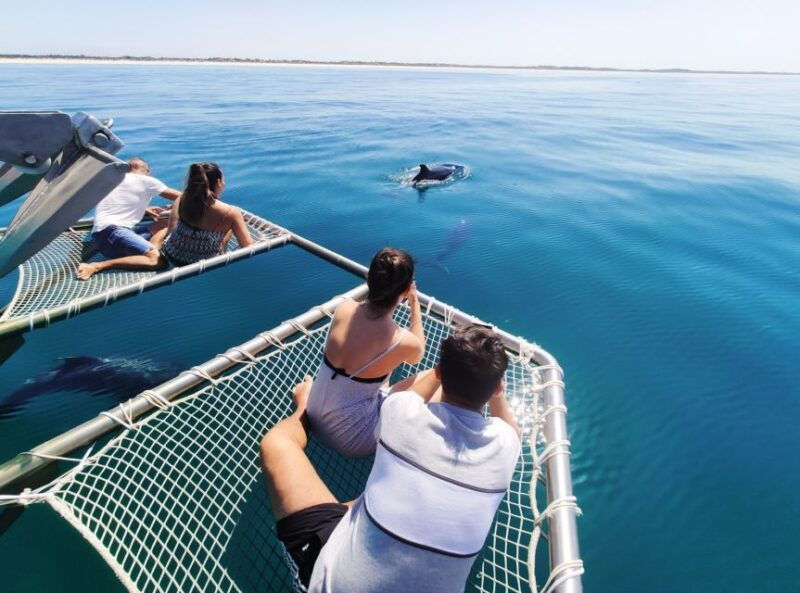 setubal-dolphin-watching-tour