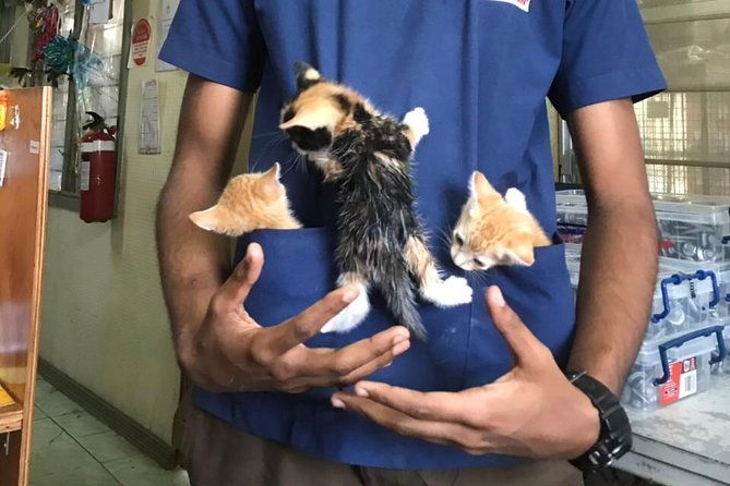 Shelter Visit & Tour - FAQ  