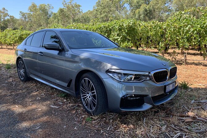 Ship Shore Excursion: Private Tour: Adelaide City, choice Adelaide Wine Regions - Inside the Details: Transportation & Timing